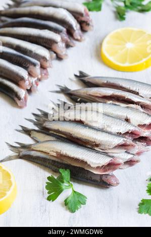 Frische rohe, köstliche Sardellen, Truthahn Schwarzmeer kleine Fische Hamsi Stockfoto