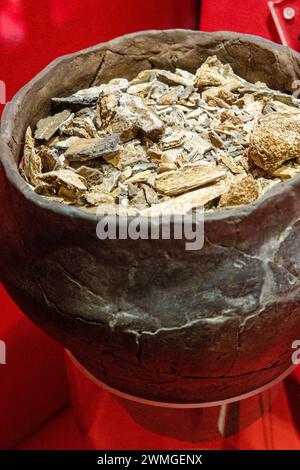 Aschenurne mit menschlicher Einäscherung, Nekropole von Chera, Museo Comarcal de Molina de Aragón, Guadalajara, Spanien Stockfoto