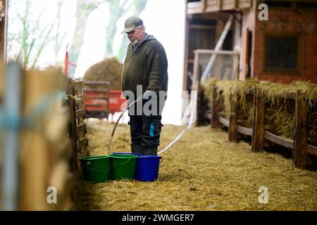 Schneverdingen, Deutschland. Februar 2024. Uwe Storm, Hirte, füllt Wasser in der Scheune für Schnecken und Ziegen. Für die Heide-Hirten hat die geschäftigste Zeit des Jahres mit der Lammzeit begonnen. Quelle: Philipp Schulze/dpa/Alamy Live News Stockfoto