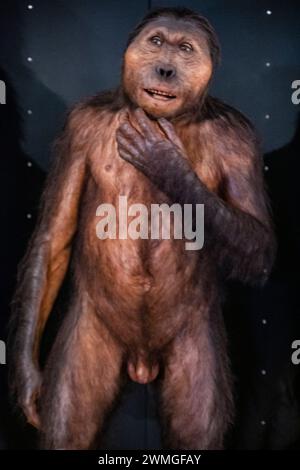 Paranthropus boisei, Museo de la evolución humana, MEH, Burgos, Spanien Stockfoto