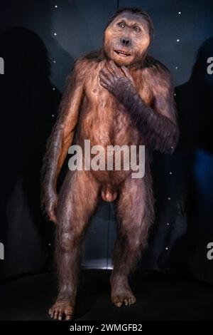 Paranthropus boisei, Museo de la evolución humana, MEH, Burgos, Spanien Stockfoto