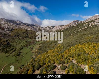 Tosande-Tal. Fuentes Carrionas Naturpark, Fuente Cobre - Palentina Berg. Palencia, Spanien Stockfoto