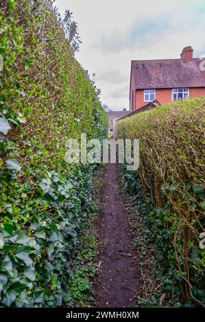 Schmaler Weg zwischen zwei Häusern mit hoher Hecke auf der linken Seite. Stockfoto