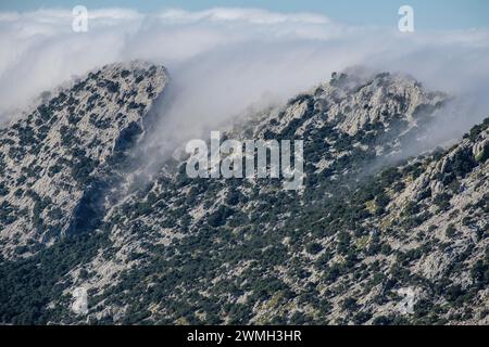 Nebel über Sierra de Cuber, Fornalutx, Mallorca, Balearen, Spanien Stockfoto