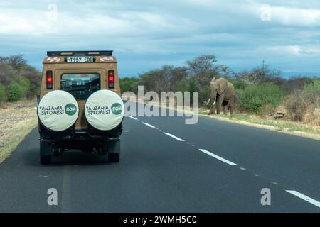 Tangire, Tansania, 24. Oktober 2023. Elefant, der die Straße vor den Autos überqueren will Stockfoto