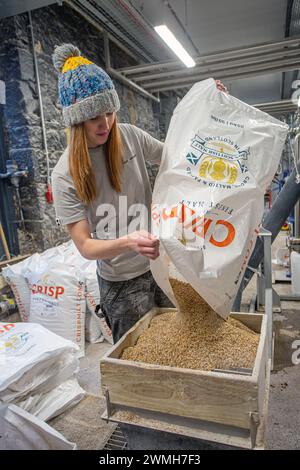 In der Holyrood Distillery Edinburgh, Schottland, wird gemälzter Gerste zur Herstellung von Single-Malt-Whisky verwendet Stockfoto