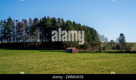 Wiese mit Kiefern und gewölbtem Eisenhaus Stockfoto