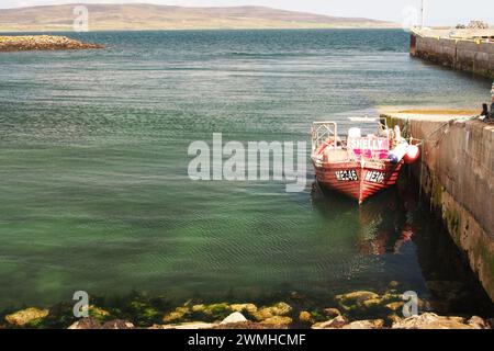 Ein kleines Fischerboot liegt neben dem Tingwall Pier, Orkney, Schottland, Großbritannien Stockfoto