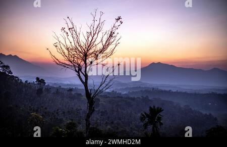 Blick auf die Berge bei Sonnenuntergang in Wayanad Indien Stockfoto