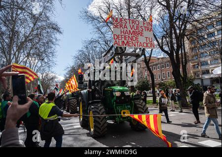 Madrid, Spanien. Februar 2024. Bauern protestieren mit Traktoren. Rund 100 Traktoren und Tausende von Landwirten sind vom Landwirtschaftsministerium zum Büro des Europäischen Parlaments marschiert, zeitgleich mit der Tagung des EU-Rates der Landwirtschaftsminister in Brüssel. Die Landwirte fordern faire Preise und eine Änderung der europäischen Politik. Quelle: Marcos del Mazo/Alamy Live News Stockfoto