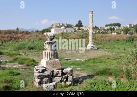 Standort des Artemis-Tempels in der Stadt Selcuk, in der Nähe von Ephesus, Türkei. Stockfoto