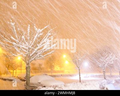 Eine verschneite Nachtszene mit einem Parkplatz und Bäumen Stockfoto