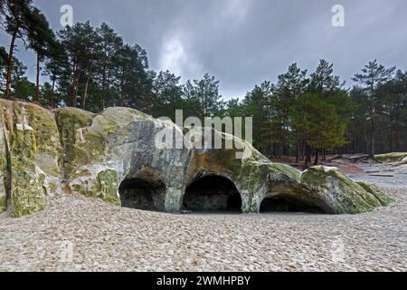 Die Sandhöhlen, Sandsteinhöhlen im Wald genannt im Heers unterhalb der Felsen des Regensteins bei Blankenburg, Harz, Sachsen-Anhalt Stockfoto