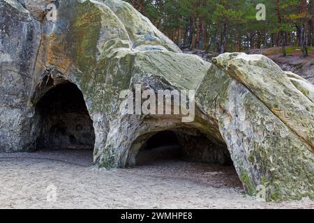 Die Sandhöhlen, Sandsteinhöhlen im Wald genannt im Heers unterhalb der Felsen des Regensteins bei Blankenburg, Harz, Sachsen-Anhalt Stockfoto