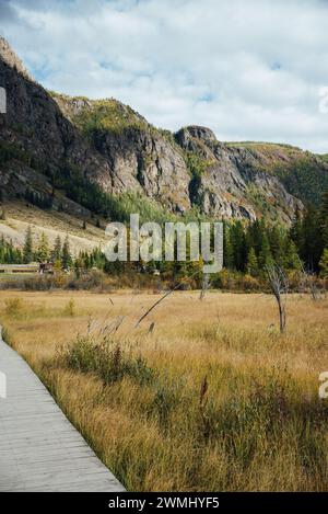 Eine hölzerne Promenade schlängelt sich durch eine goldfarbene Wiese am Fuße eines majestätischen Berges und lädt zu einem friedlichen Spaziergang im Herzen der Natur ein. Malerischer Mountain Pathway Stockfoto