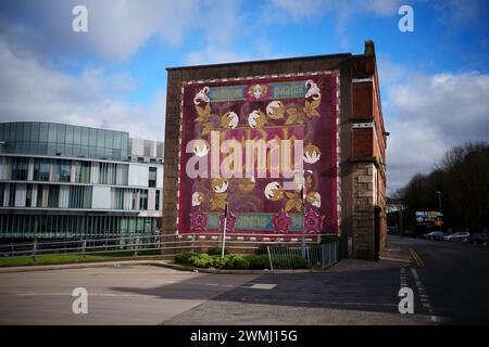 Rochdale, Großbritannien. Februar 2024. Das Bild zeigt ein Wandbild in Rochdale vor der Nachwahl in Rochdale, Großbritannien. Quelle: Jon Super/Alamy Live News. Stockfoto