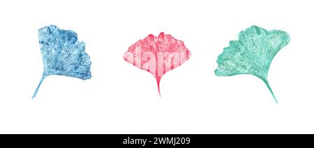 Blattdrucke in Blau, Türkis und Pink. Gingko, Biloba-Blätter. Ginkgo, Palme, trockene abstrakte Blätter. Tropische exotische Pflanze. Stockfoto