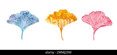 Abdrücke von Herbstblättern in blauen, goldenen, rosa Farben. Gingko-Blatt. Ginkgo, Palme, trockene abstrakte Blätter. Biloba, exotische Pflanze. Aquarellabbildung Stockfoto