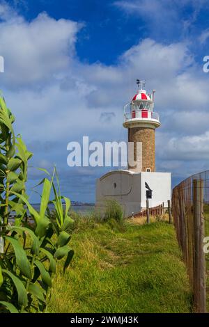 Punta Brava Lighthouse, Montevideo, Uruguay, Südamerika Stockfoto