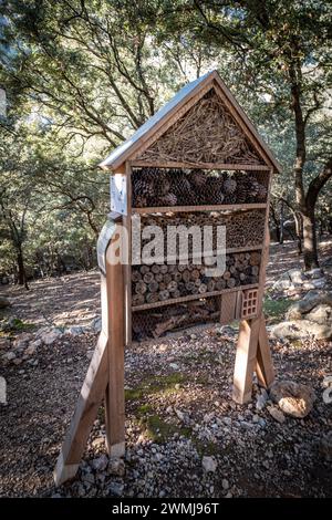 Insektenkiste, Son Moragues Forest, Valldemossa, Mallorca, Balearen, Spanien Stockfoto