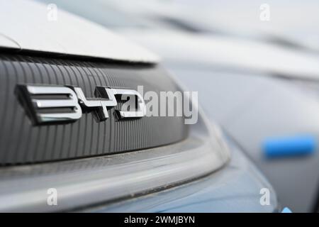 Bremerhaven, Deutschland. Februar 2024. Zahlreiche neue Dolphin-Fahrzeuge des Autoherstellers BYD parken am BLG Auto Terminal Bremerhaven. Quelle: Lars Penning/dpa/Alamy Live News Stockfoto