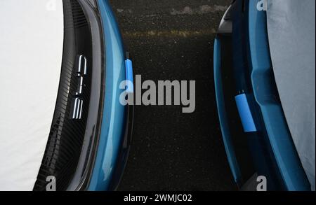Bremerhaven, Deutschland. Februar 2024. Zahlreiche neue Dolphin-Fahrzeuge des Autoherstellers BYD parken am BLG Auto Terminal Bremerhaven. Quelle: Lars Penning/dpa/Alamy Live News Stockfoto