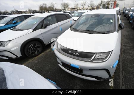 Bremerhaven, Deutschland. Februar 2024. Zahlreiche neue Dolphin-Fahrzeuge des Autoherstellers BYD parken am BLG Auto Terminal Bremerhaven. Quelle: Lars Penning/dpa/Alamy Live News Stockfoto