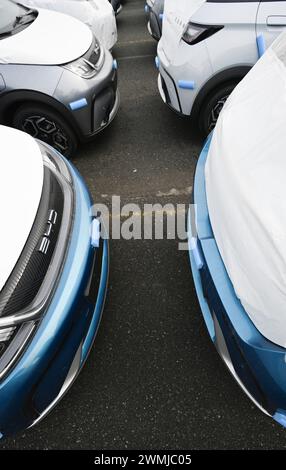 Bremerhaven, Deutschland. Februar 2024. Zahlreiche neue Dolphin-Fahrzeuge des Autoherstellers BYD parken am BLG Auto Terminal Bremerhaven. Quelle: Lars Penning/dpa/Alamy Live News Stockfoto