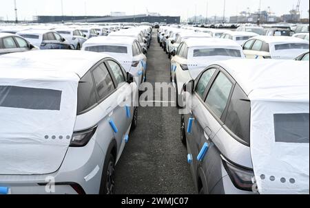 Bremerhaven, Deutschland. Februar 2024. Zahlreiche neue Dolphin-Fahrzeuge des Autoherstellers BYD parken am BLG Auto Terminal Bremerhaven. Quelle: Lars Penning/dpa/Alamy Live News Stockfoto