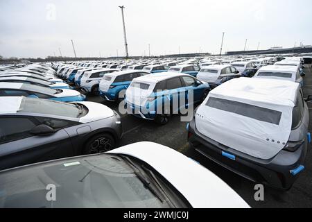 Bremerhaven, Deutschland. Februar 2024. Zahlreiche neue Dolphin-Fahrzeuge des Autoherstellers BYD parken am BLG Auto Terminal Bremerhaven. Quelle: Lars Penning/dpa/Alamy Live News Stockfoto