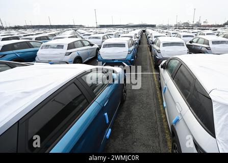 Bremerhaven, Deutschland. Februar 2024. Zahlreiche neue Dolphin-Fahrzeuge des Autoherstellers BYD parken am BLG Auto Terminal Bremerhaven. Quelle: Lars Penning/dpa/Alamy Live News Stockfoto