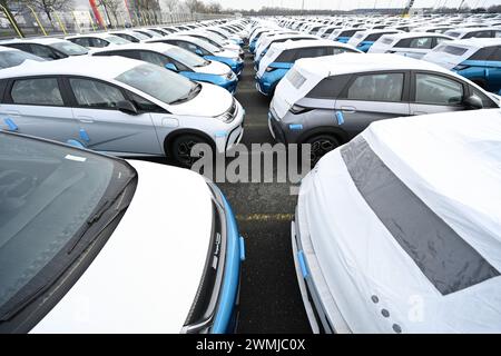 Bremerhaven, Deutschland. Februar 2024. Zahlreiche neue Dolphin-Fahrzeuge des Autoherstellers BYD parken am BLG Auto Terminal Bremerhaven. Quelle: Lars Penning/dpa/Alamy Live News Stockfoto