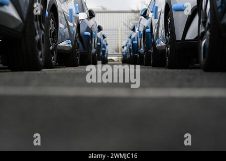 Bremerhaven, Deutschland. Februar 2024. Zahlreiche neue Dolphin-Fahrzeuge des Autoherstellers BYD parken am BLG Auto Terminal Bremerhaven. Quelle: Lars Penning/dpa/Alamy Live News Stockfoto