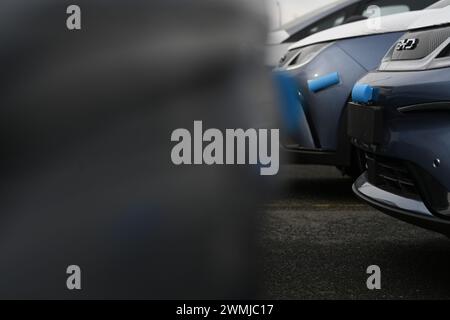 Bremerhaven, Deutschland. Februar 2024. Zahlreiche neue Dolphin-Fahrzeuge des Autoherstellers BYD parken am BLG Auto Terminal Bremerhaven. Quelle: Lars Penning/dpa/Alamy Live News Stockfoto