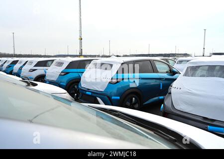 Bremerhaven, Deutschland. Februar 2024. Zahlreiche neue Dolphin-Fahrzeuge des Autoherstellers BYD parken am BLG Auto Terminal Bremerhaven. Quelle: Lars Penning/dpa/Alamy Live News Stockfoto