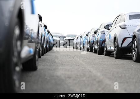 Bremerhaven, Deutschland. Februar 2024. Zahlreiche neue Dolphin-Fahrzeuge des Autoherstellers BYD parken am BLG Auto Terminal Bremerhaven. Quelle: Lars Penning/dpa/Alamy Live News Stockfoto
