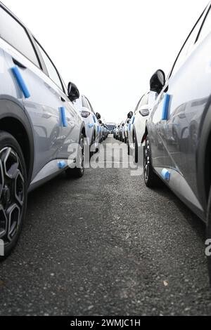 Bremerhaven, Deutschland. Februar 2024. Zahlreiche neue Dolphin-Fahrzeuge des Autoherstellers BYD parken am BLG Auto Terminal Bremerhaven. Quelle: Lars Penning/dpa/Alamy Live News Stockfoto