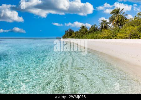Herrliche Strandlandschaft im Sommer. Exotische Inselküste mit Palmen und weißem Sand in der Nähe des atemberaubenden blauen Meeres und der Lagune. Tropisches Naturparadies Stockfoto