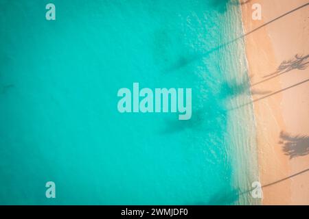 Blick von oben schöner topischer Strand weißer Sand Kokospalmen Schatten Meer Küstenlandschaft von oben Blick leerer und sauberer Strand. Wellen surfen an der Küste Stockfoto