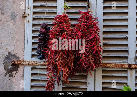 Typisch Sirereta-Paprika, Wochenmarkt, Sineu, Mallorca, Balearen, Spanien Stockfoto