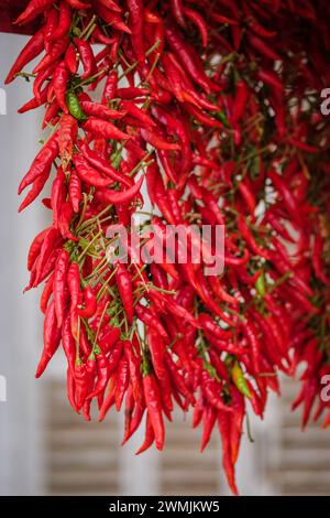 Typisch Sirereta-Paprika, Wochenmarkt, Sineu, Mallorca, Balearen, Spanien Stockfoto