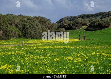 Wandern auf dem Pferdeweg, - Cami de Cavalls-, s'Albufera des Grau Naturpark, Menorca, Balearen, Spanien Stockfoto