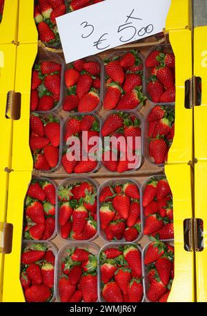 Plastikkörbe voller reifer roter Erdbeeren zum Verkauf auf dem Bauernmarkt zum Preis Stockfoto