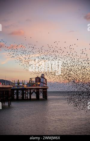 Der Tanz der Starlinge am Brighton Pier im Winter Stockfoto