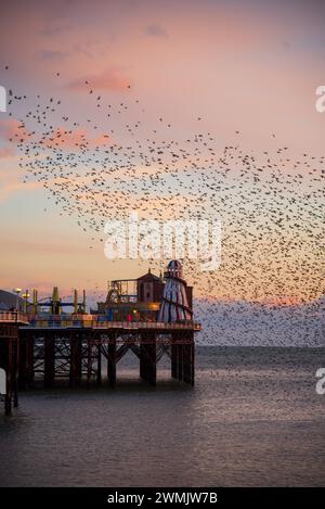 Der Tanz der Starlinge am Brighton Pier im Winter Stockfoto