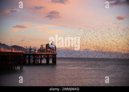 Der Tanz der Starlinge am Brighton Pier im Winter Stockfoto