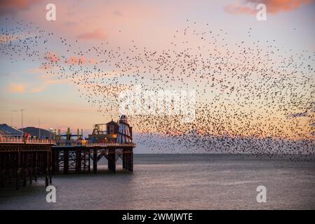 Der Tanz der Starlinge am Brighton Pier im Winter Stockfoto