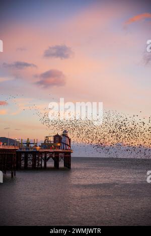 Der Tanz der Starlinge am Brighton Pier im Winter Stockfoto