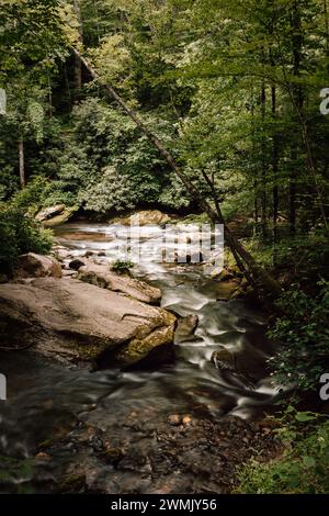 Kleiner Bach in den Great Smoky Mountains in North Carolina Stockfoto