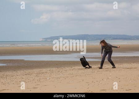 Dame mittleren Alters und schwarzer labrador Hund, die Spaß haben, einen Ball am Strand zu jagen Stockfoto